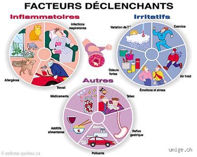 Quels sont les facteurs déclencheurs ? Anatomie d’une étincelle qui fait basculer les systèmes et les comportements