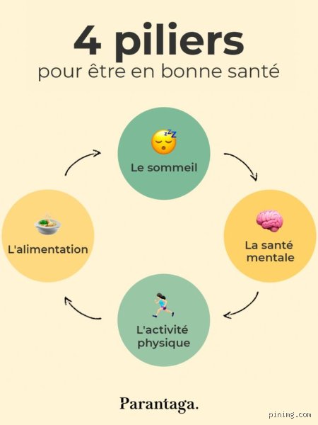 Quels sont les quatre piliers de la santé mentale ? Radiographie d’un équilibre psychologique bien plus fragile qu’on ne le pense