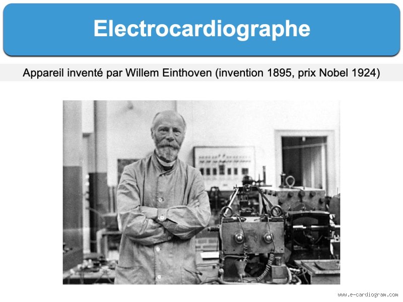 Qui a Inventé le Cœur ? La Réponse Va Vous Surprendre (Et Peut-Être Vous Énerver un Peu)