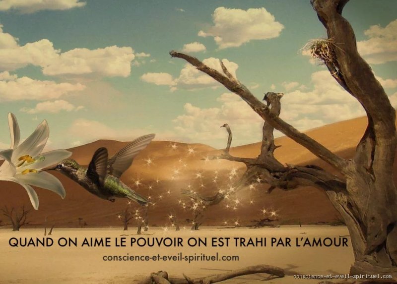 Qui aime trop le pouvoir ?