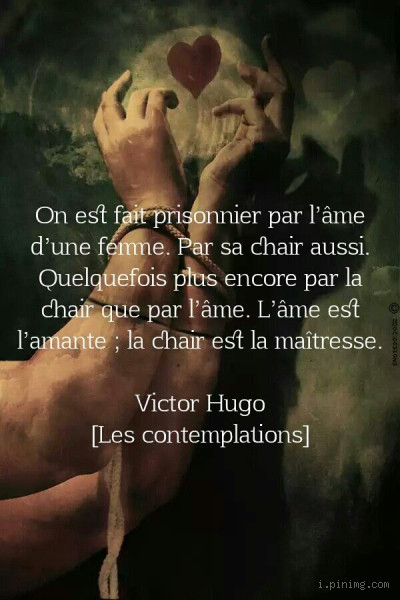 Qui est le "je" dans les Contemplations ? Mystère et Réflexion