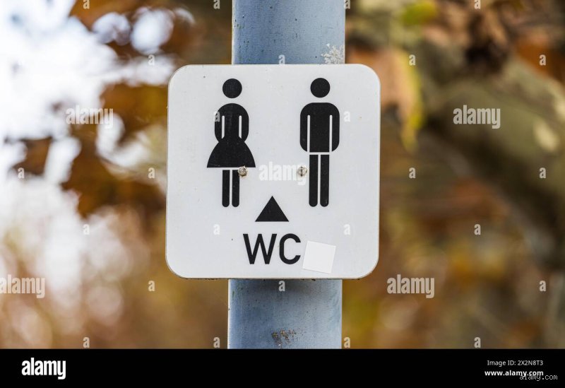 Warum wurden Toiletten zwischen Mann und Frau getrennt?