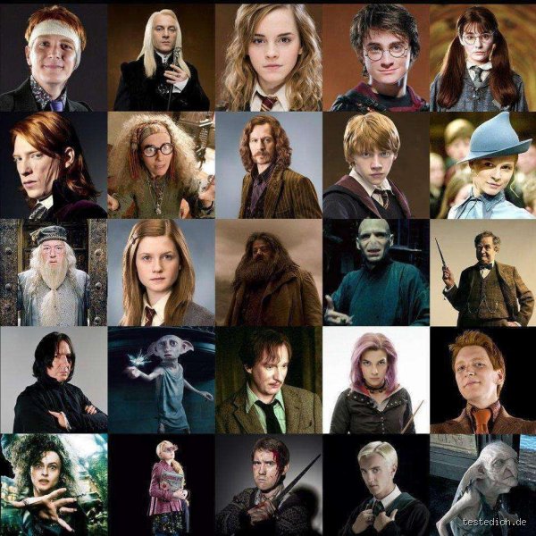 Was ist der unbeliebteste Harry Potter Teil?