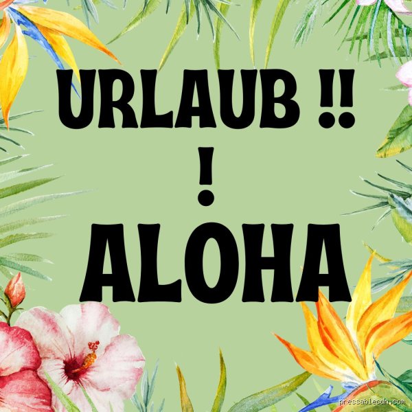 Was kann man auf Aloha antworten?