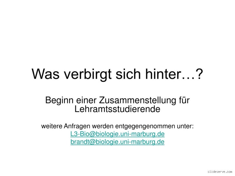 Was verbirgt sich hinter Wikipedia?
