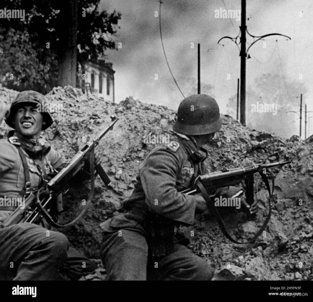 Welche Panzerdivision war in der Schlacht von Stalingrad?