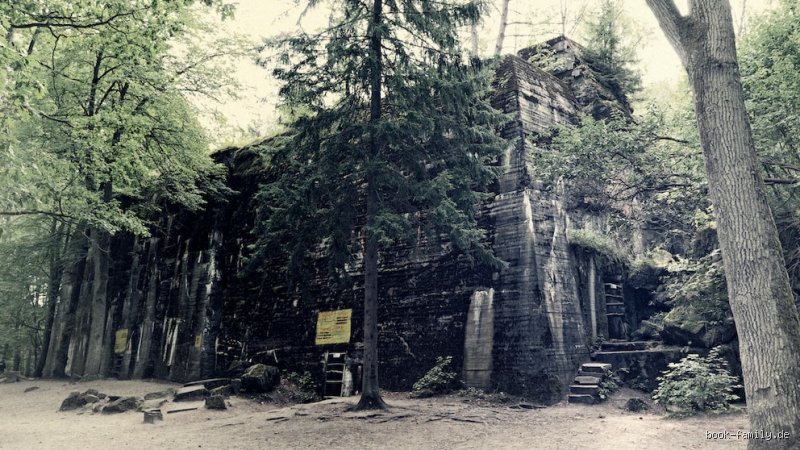 Wer hat die Wolfsschanze wirklich gebaut? Die verborgene Wahrheit hinter dem Bunker-Komplex