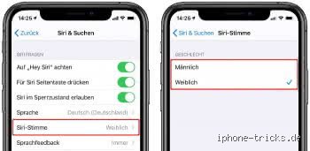 Wer spricht die männliche Siri-Stimme?