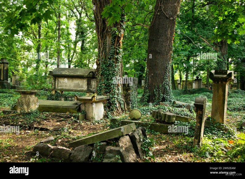 Wo ist der älteste Friedhof Deutschlands?