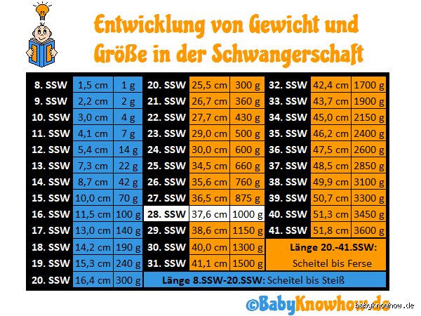 Wie viel Kilo in der 28 SSW? Richtwerte, Mythen und was wirklich zählt