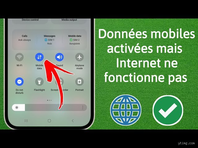 Pourquoi la data ne fonctionne pas ?