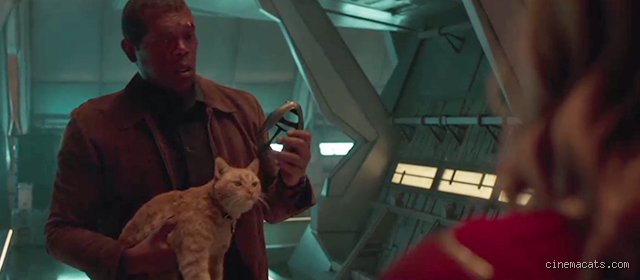 Pourquoi le Flerken à griffe Fury ?
