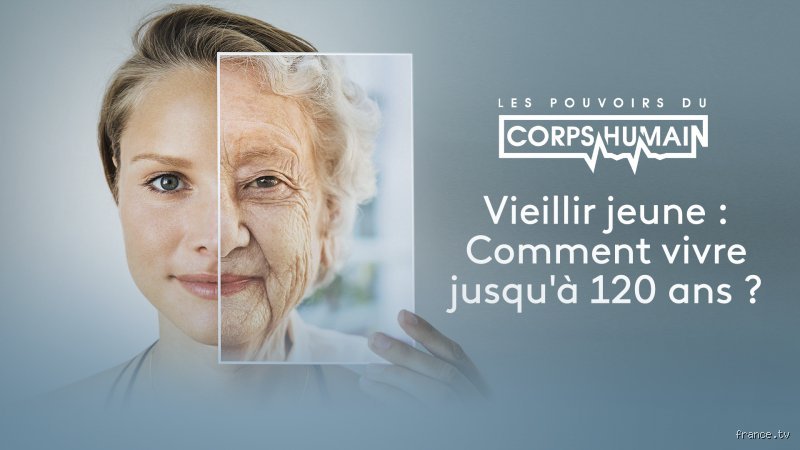 Pourquoi les humains ne peuvent-ils pas vivre au-delà de 120 ans ? Les murs biologiques de notre longévité