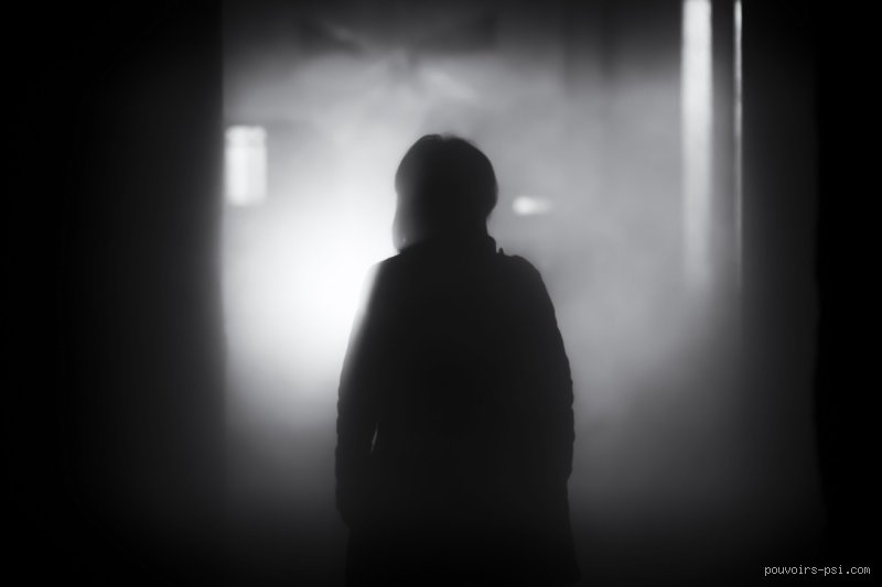 Pourquoi notre ombre est noire : Le petit mystère de la lumière que nous ignorons