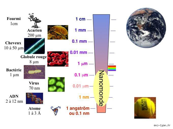 Qu'est-ce qui mesure exactement 1 nm ? Plongée dans l'échelle du nanomètre