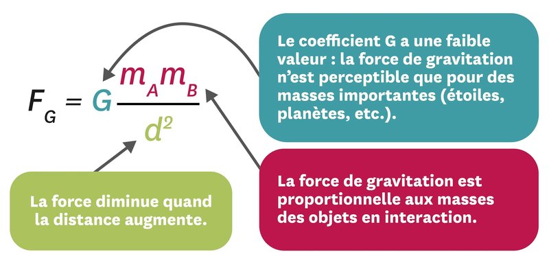 Quelle est la force de newton ?