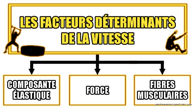 Quelle vitesse un corps humain peut-il supporter ?