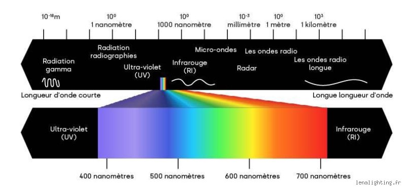 Quelles ondes peut-on vraiment voir ? Le spectre invisible qui nous entoure