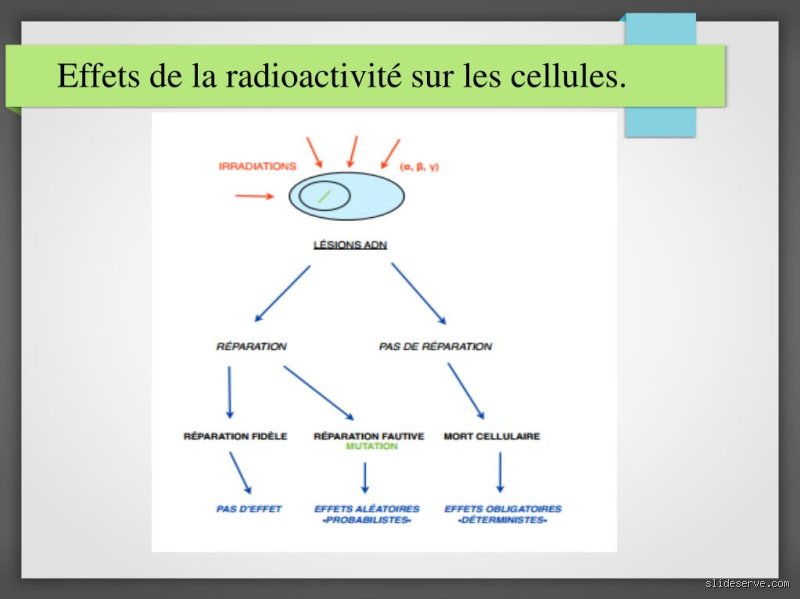 Pourquoi la radioactivité est-elle finalement une alliée de notre quotidien ?