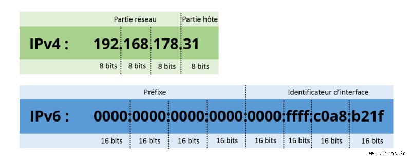 Votre Adresse IP : Le Secret Le Moins Bien Gardé du Web (Et Pourquoi Vous Devriez Vous En Soucier !)