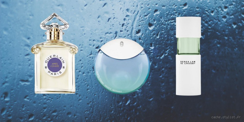 Quel est le nom de l’odeur de la pluie ? Ce parfum qui fascine