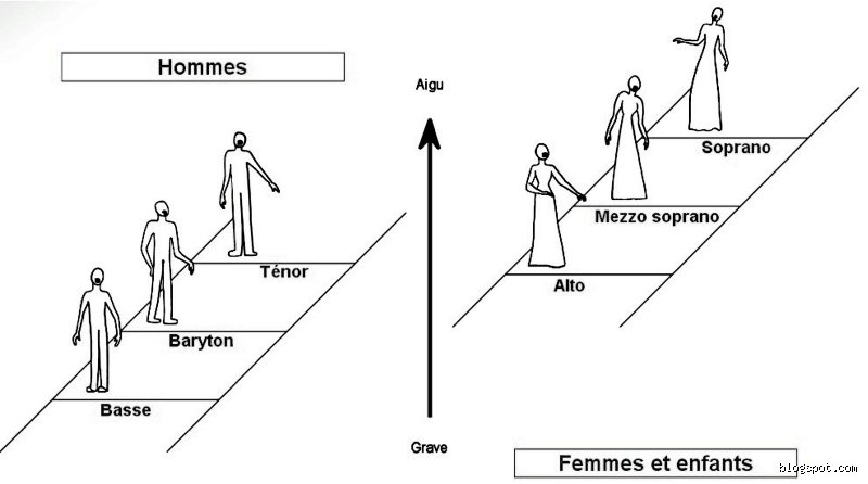 Ces Voix Qui Font Craquer les Hommes : Le Guide Ultime (et Surprenant !)