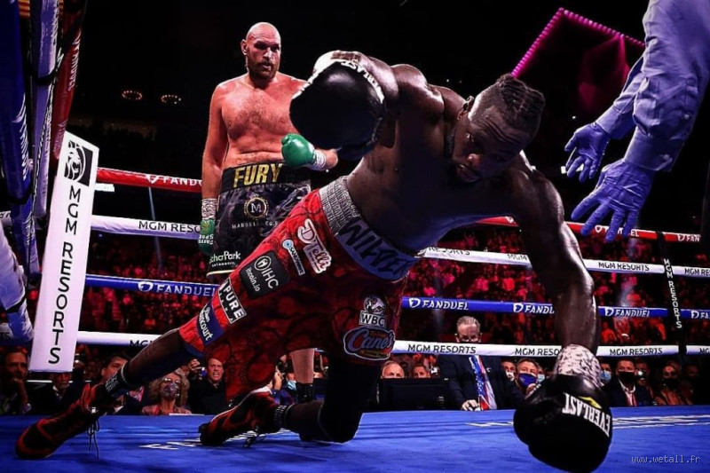 Quel boxeur a la plus grosse frappe ? Découvrez les géants du ring !