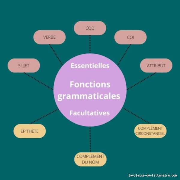 Quels mots peuvent être épithète ? Découvrez les secrets de cette fonction grammaticale