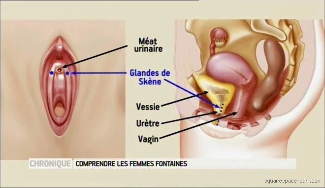 Quelle odeur a le liquide d'une femme fontaine ? Vérités scientifiques et tabous brisés sur l'éjaculation féminine