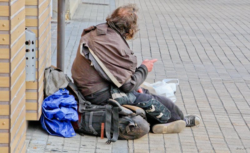 Pourquoi les pauvres aiment les marques ? Analyse du marketing de la survie sociale