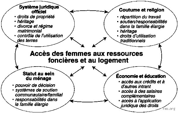 Pourquoi l'égalité est-elle le moteur caché de notre prospérité collective ?