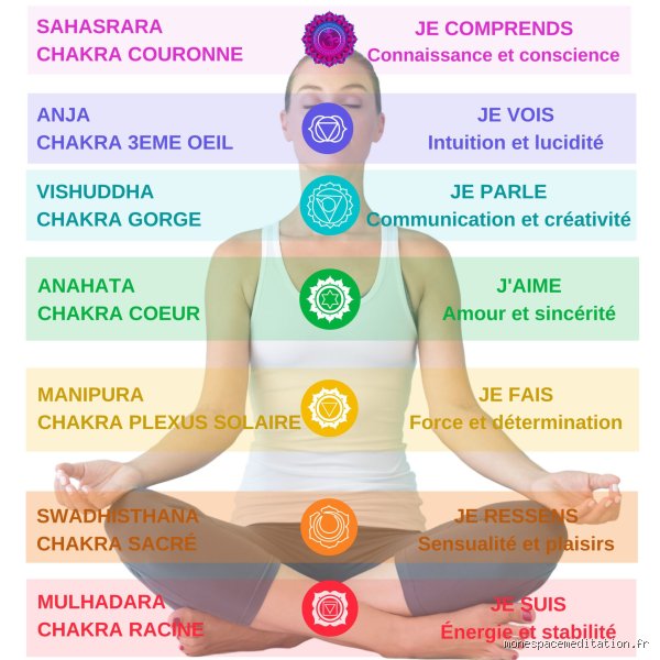 Quel chakra est relié aux cheveux ? Le décryptage complet pour comprendre le lien