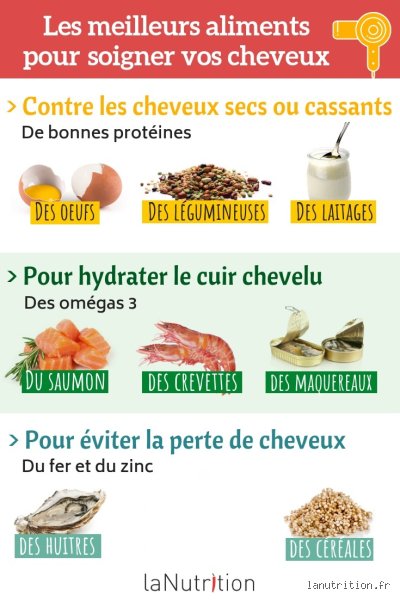 Quel est le meilleur aliment pour avoir de beaux cheveux ? Enquête scientifique au cœur de l'assiette pour sublimer votre fibre capillaire