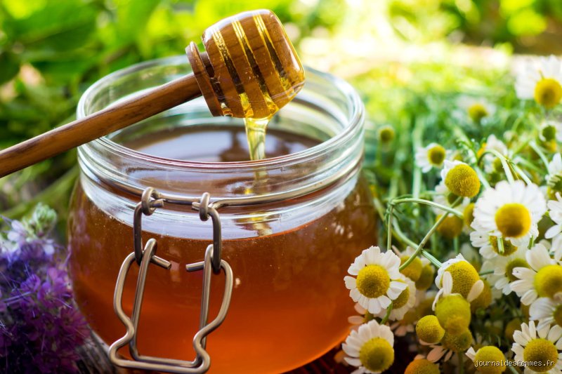 Quel est le meilleur antibiotique naturel au monde ? Le guide ultime pour choisir son remède sans passer par la pharmacie