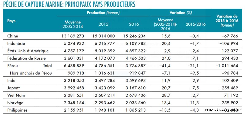 Quel est le pays qui pêche le plus ? La réalité derrière les chiffres mondiaux
