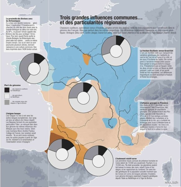 Quelle est la particularité génétique des Bretons ? Entre héritage celte, isolat armoricain et mystères de l'ADN européen