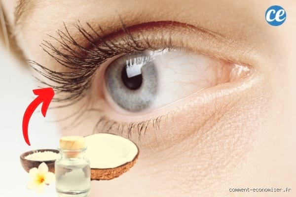 L'huile de coco fait-elle pousser les cils ? Une réponse claire et nuancée