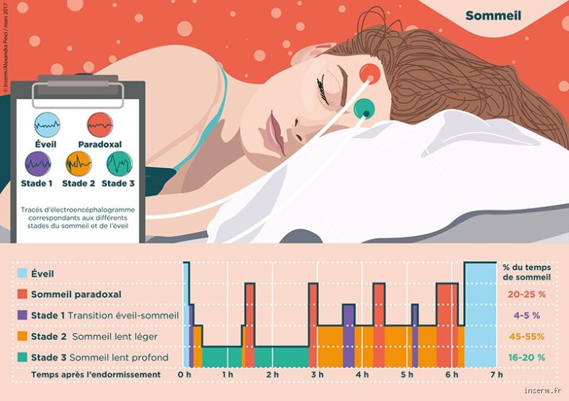 Comment provoquer le sommeil naturellement ?