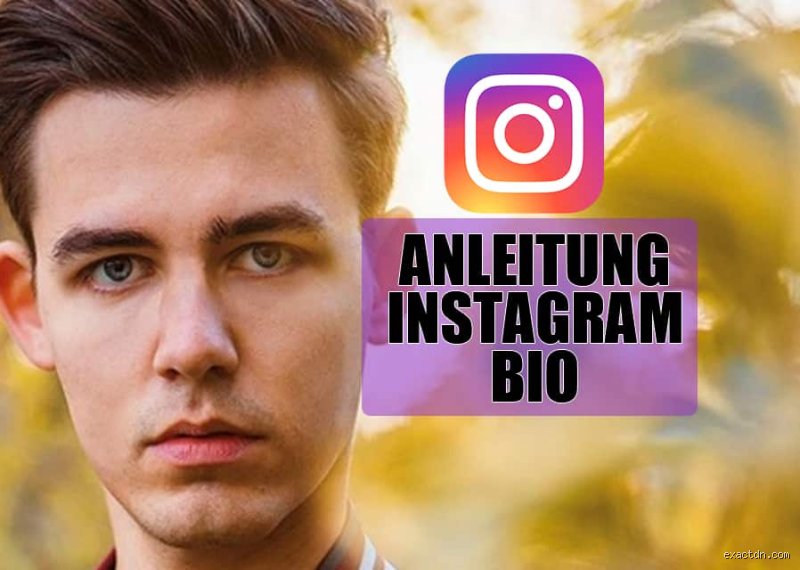 Wie kann ich meine Instagram Bio perfekt gestalten?