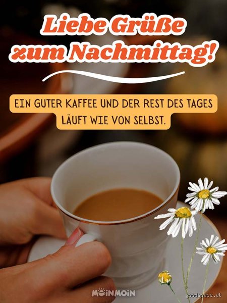 Wie grüßt man am Nachmittag? Die feine Kunst der deutschen Begrüßungszeitpunkte