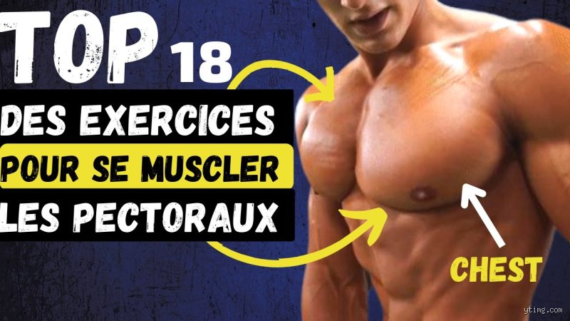 Comment muscler la poitrine d'un homme ?
