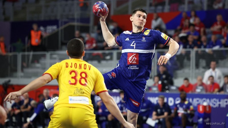 Où voir du handball en France ?