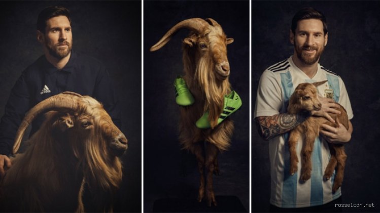 Pourquoi la chèvre pour Messi ?