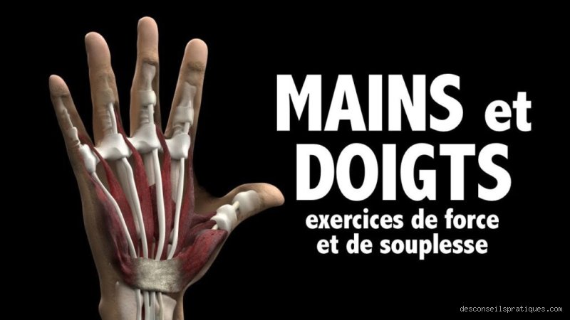 Pourquoi plus de force dans les mains ?