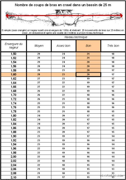 Qu'est-ce que la règle des 25/10 en natation : le secret des coachs pour nager plus vite sans s'épuiser