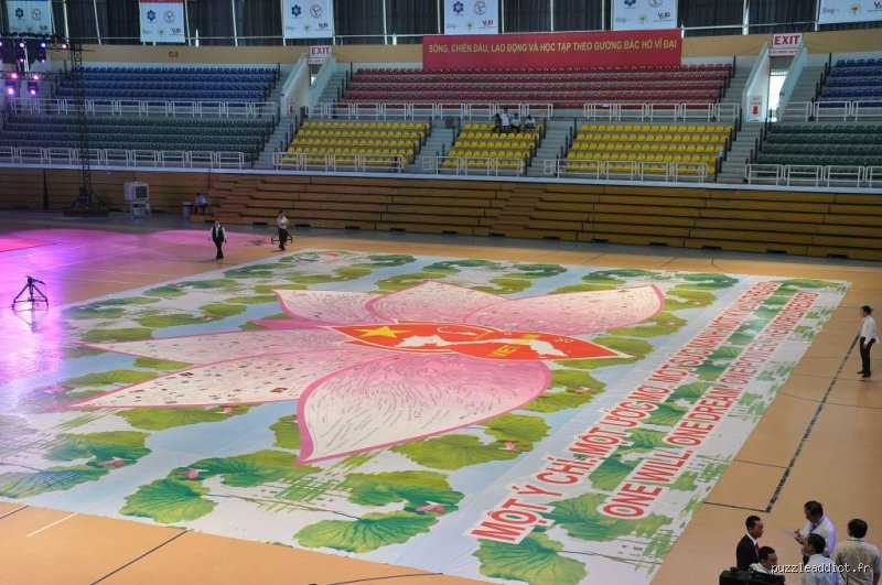 Quel est le record du monde pour faire un puzzle de 1000 pièces ? La quête folle de la vitesse absolue