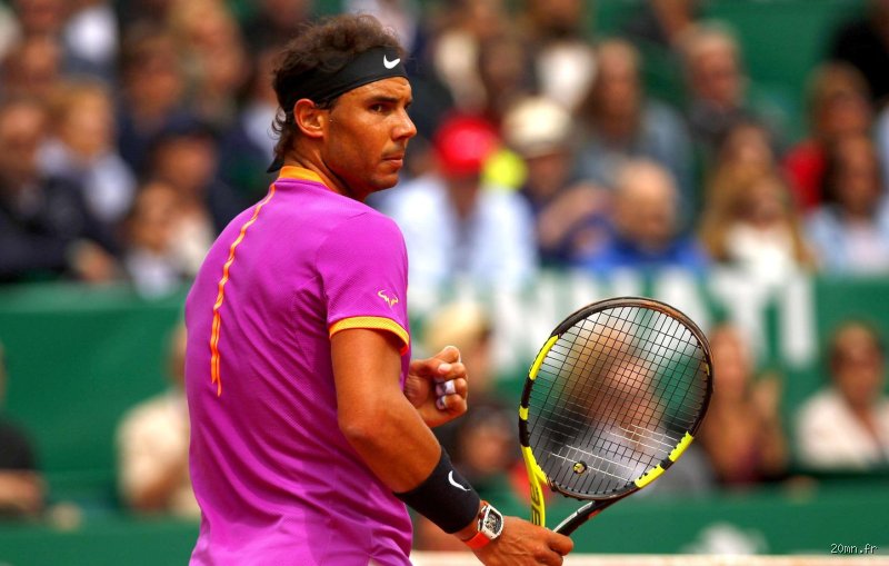 Quel joueur a le plus battu Nadal ?