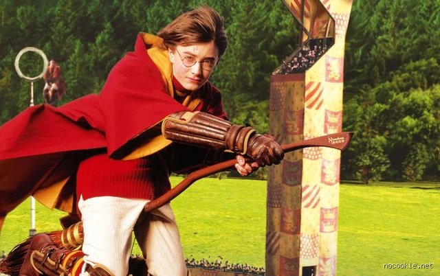 Quel est le rôle de Harry Potter au Quidditch ? Un aperçu du poste de poursuiveur