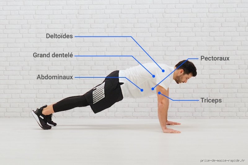 Quelle fréquence faire des pompes pour progresser efficacement
