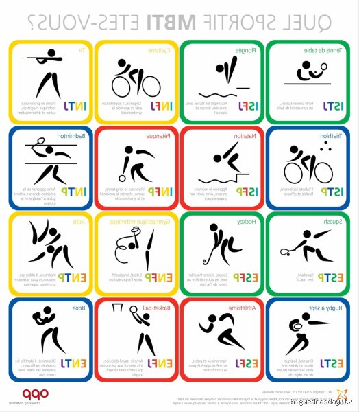Quelles sont les 5 catégories de sports ? Le guide ultime pour enfin comprendre la vraie classification officielle et ses subtilités